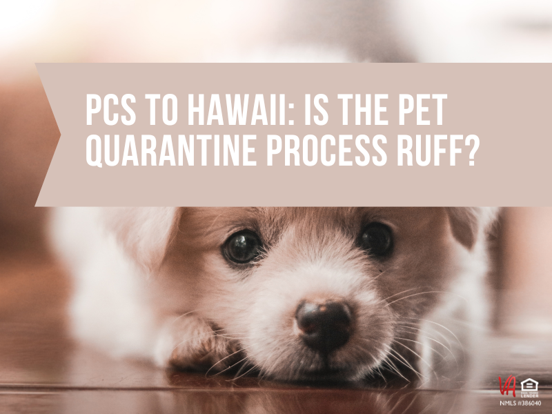 what is the dog quarantine for hawaii